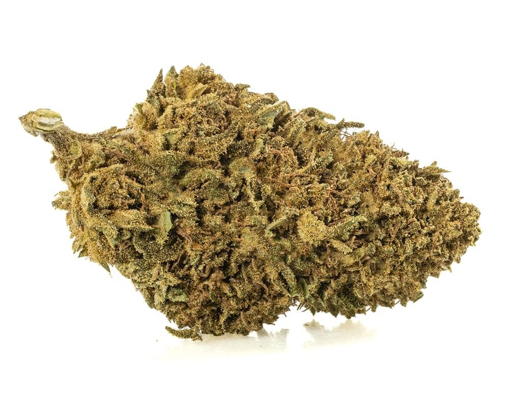 LEMON CHEESE – 20 g