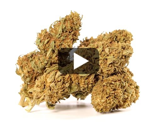 SWEET BERRY – 200 g view 2