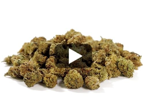 SMALL BUDS MIX – 30 / 100 g view 2