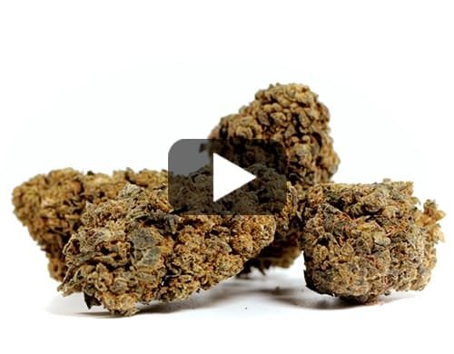 ORANGE CBD BOOST – 200 g view 2