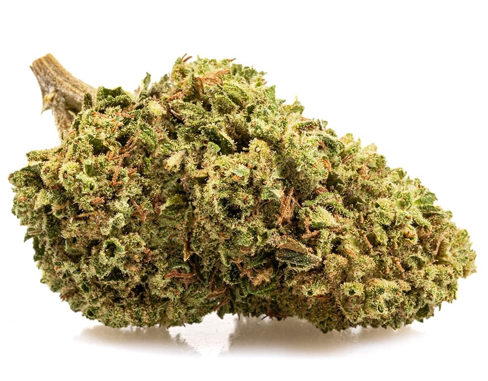 BUBBLEGUM – Small / 50 g