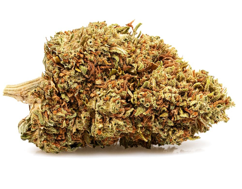 DO SI DOS – 50 g