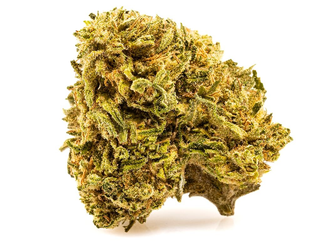 MELON KUSH – 50 g