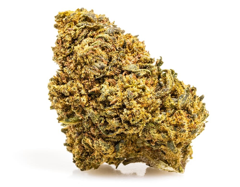 AMNESIA CBD BOOST – 20 g