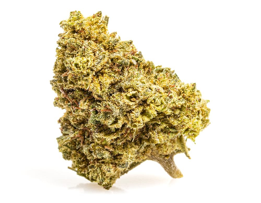 GELATO CBD BOOST – 200 g