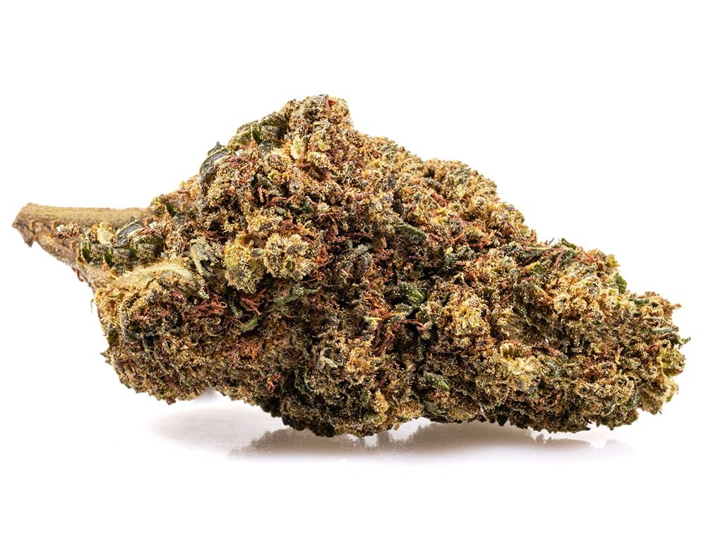 GG#4 CBD BOOST – Normal / 20 g