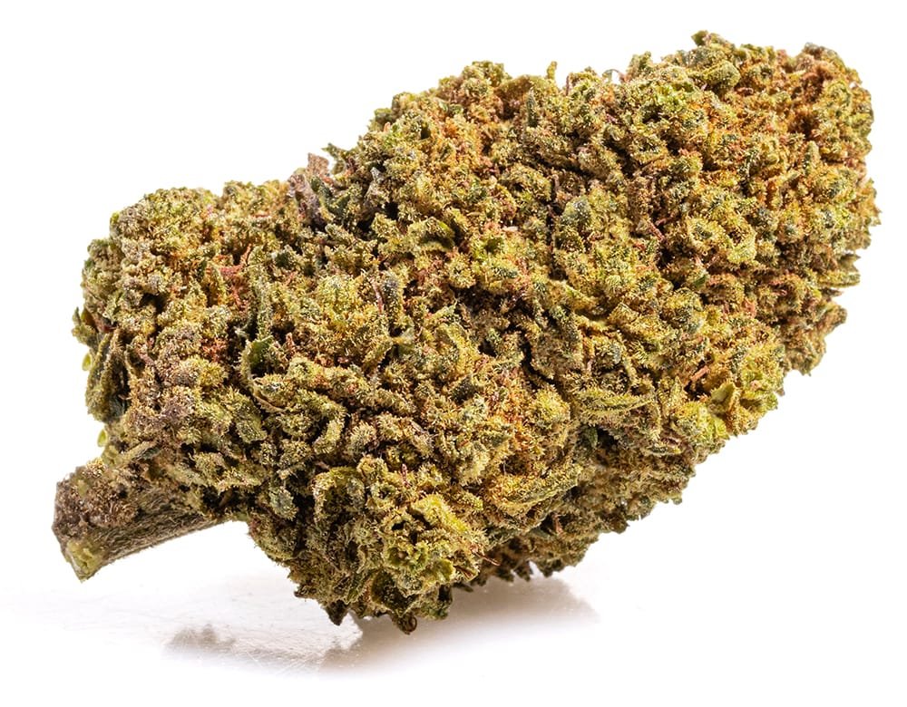 MANGO CBD BOOST – 200 g