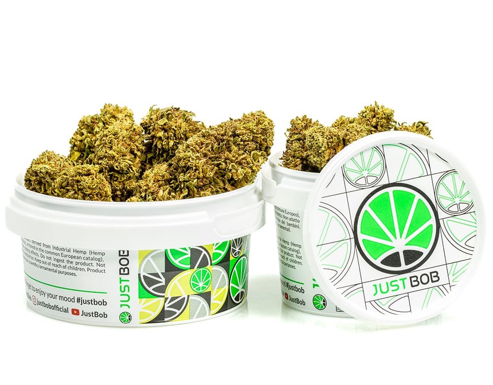 GORILLA #44 – 50 g view 3