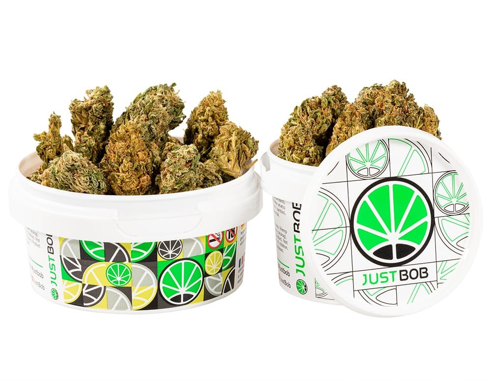HQ CBD BOOST – Normal / 10 g view 3