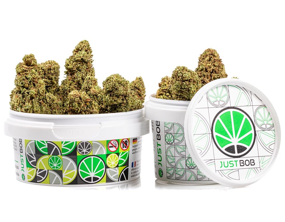 BUBBLEGUM – Small / 50 g view 3