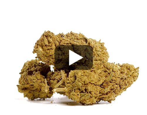 SUPER SKUNK – 50 g view 2