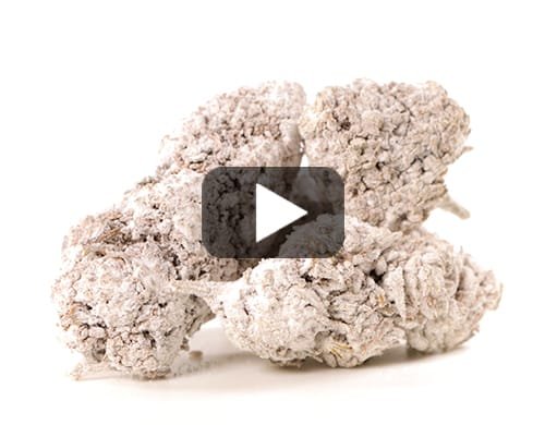 OG SUPER BOOST – 200 g view 2