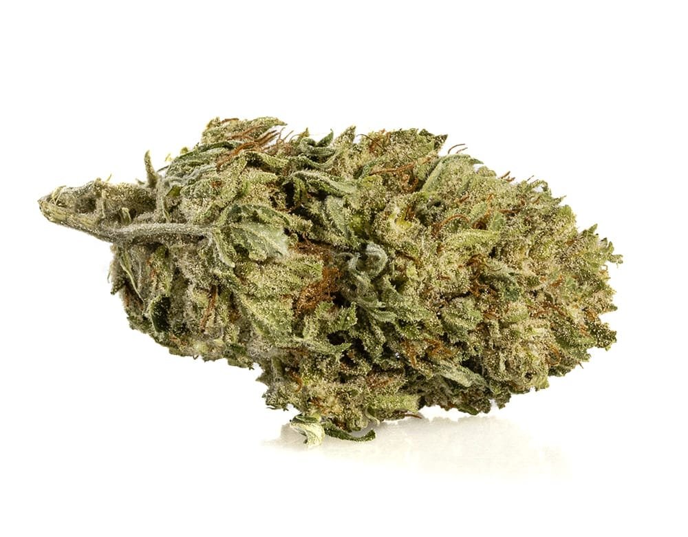 ALPINE CBG SMALL BUDS – 20 g view 3