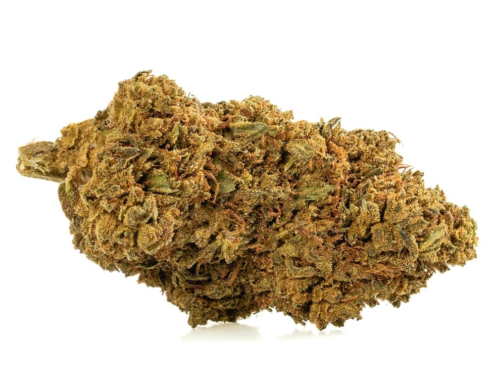 DOUBLE COOKIES – 5 g