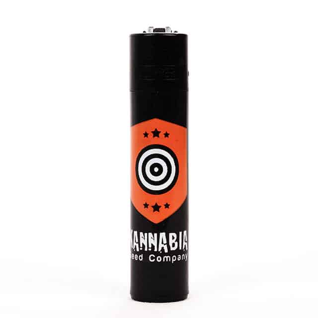 Clipper Lighter – Orange