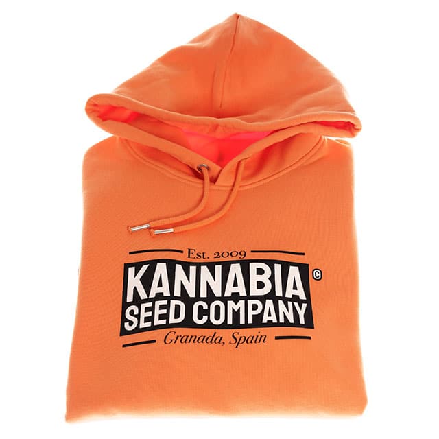 Premium Sweatshirt Orange – XL