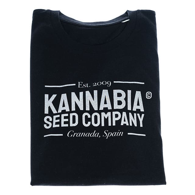 Premium T-Shirt Black – M