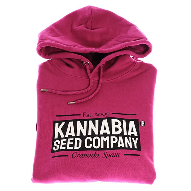 Premium Sweatshirt Violet – XL