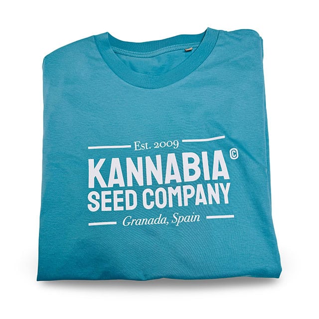 Premium T-Shirt Light blue – L