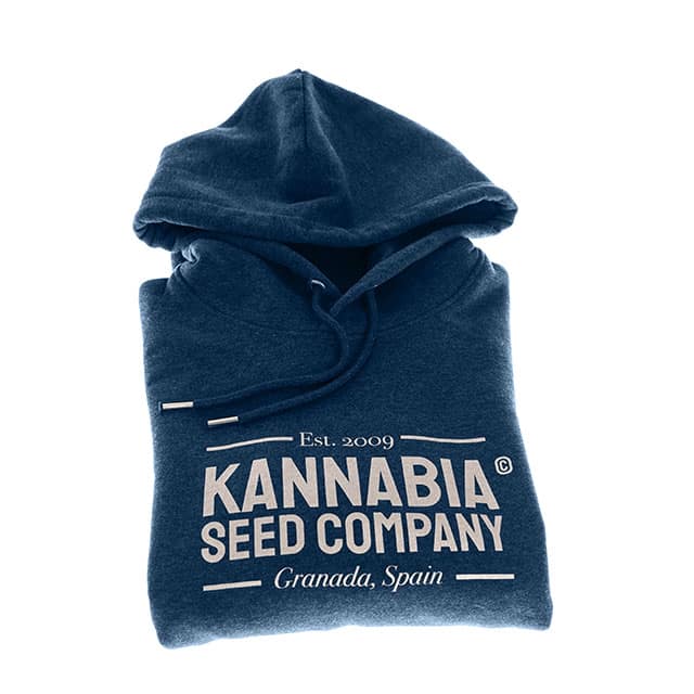 Premium Sweatshirt Blue – l-es