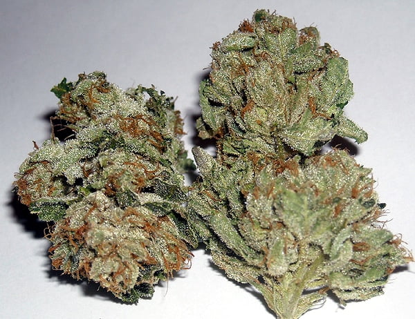 Rug Burn OG (R) [RETIRING]