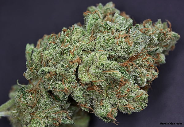 Ghost Train Haze #1 (R)