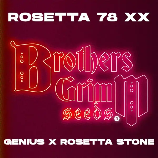 Rosetta 78 XX (F) [TESTER]