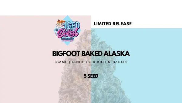 Bigfoot Baked Alaska Auto [Limited]