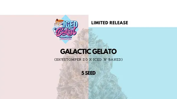 Galactic Gelato Auto [Limited]