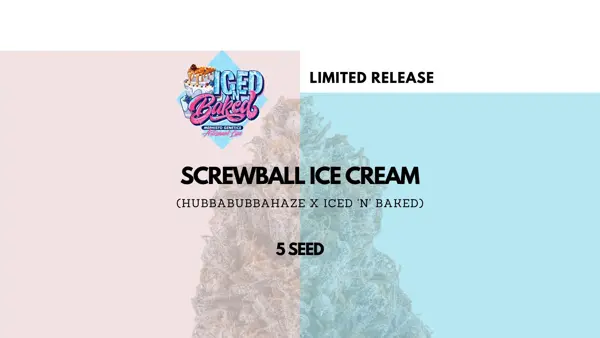 Screwball Ice Cream Auto [Limited]