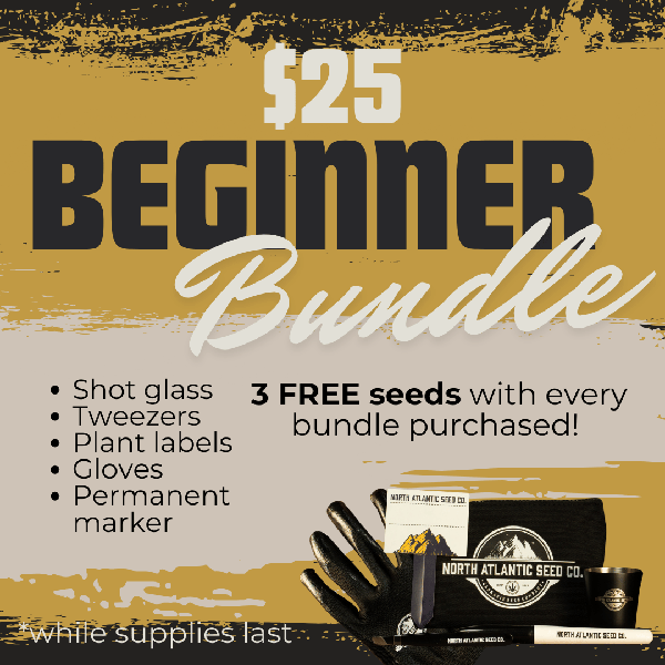 NASC Beginner Bundle