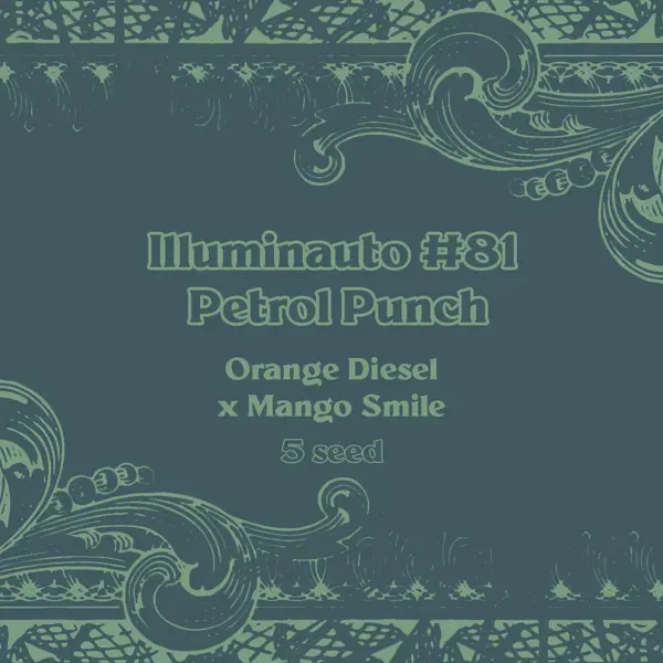 Petrol Punch Auto