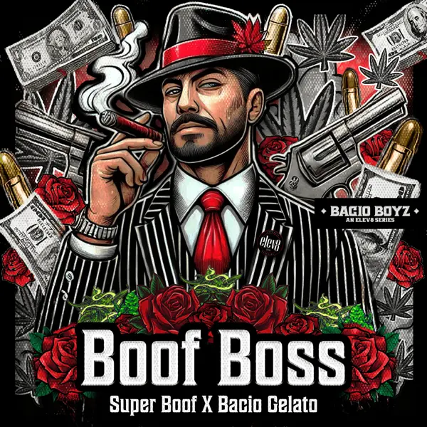 Boof Boss (F)