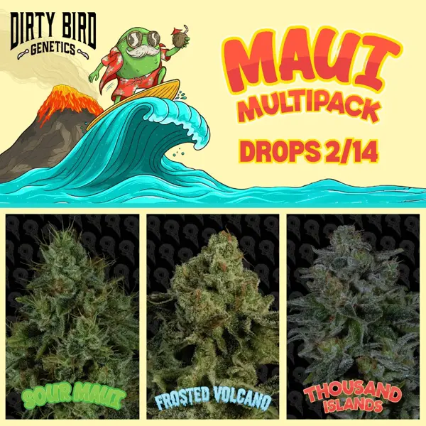 Maui Multipack (F)