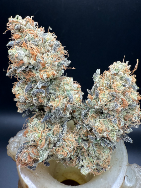 Raspberry Chiesel AKA Moon Diesel (R)