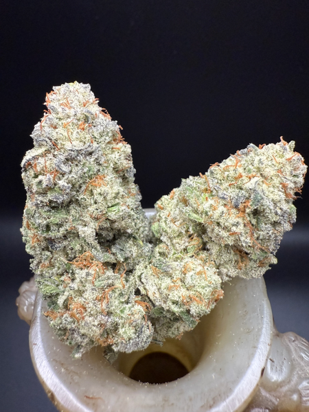 Raspberry Haze (R)