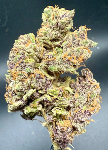 Raspberry Skunk (R)