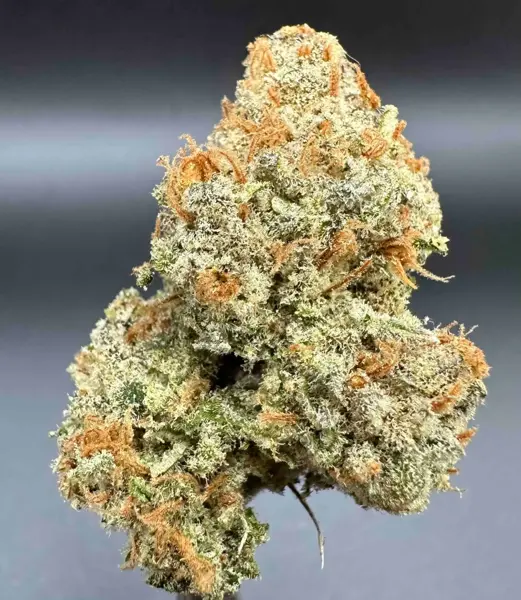 Durban Skunk (F)