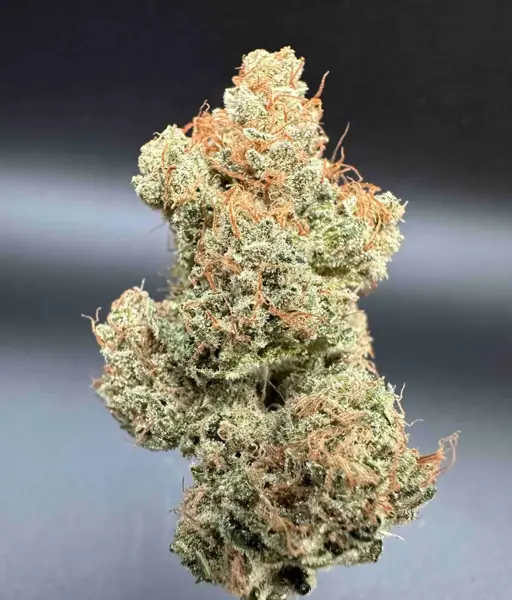 Trinity Skunk (F)