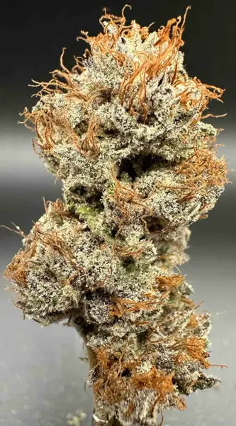 Chile Verde Skunk (F)