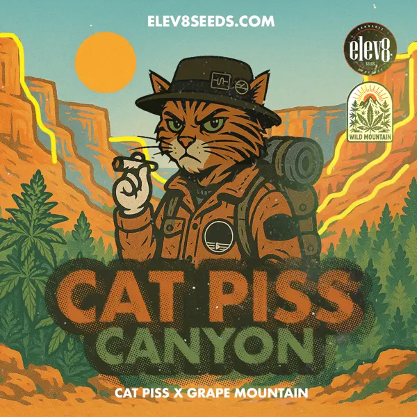 Cat Piss Canyon (F)