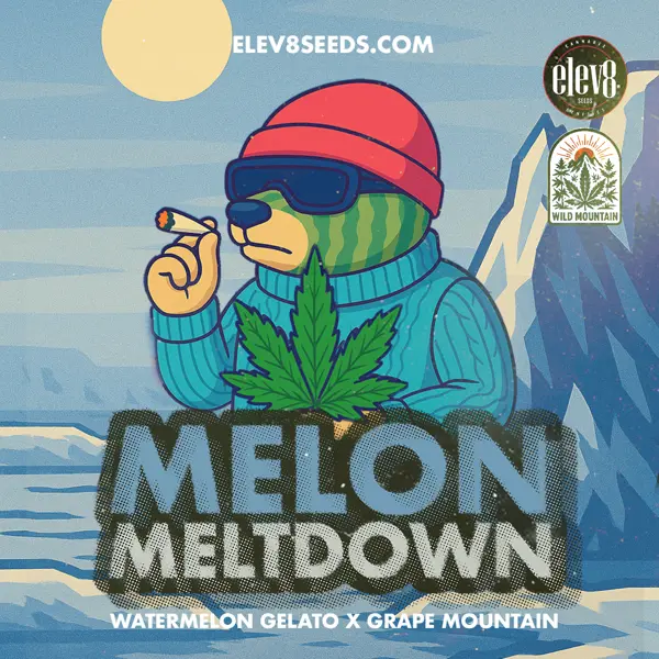 Melon Meltdown (F)