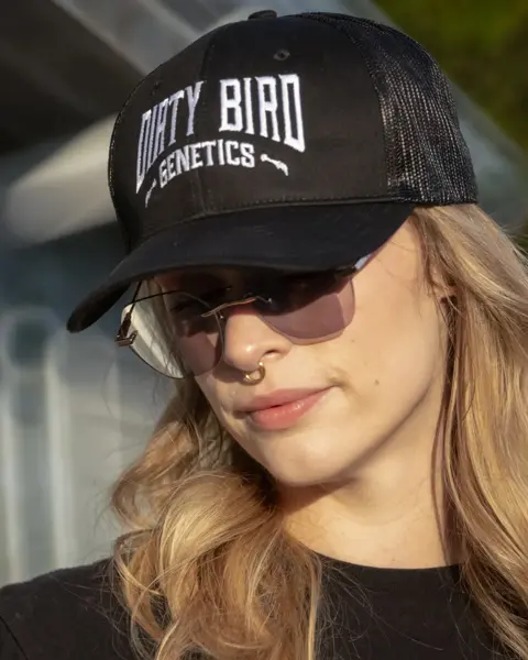 Dirty Bird Genetics Snapback Hat