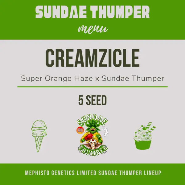 Creamzicle Auto [LIMITED]