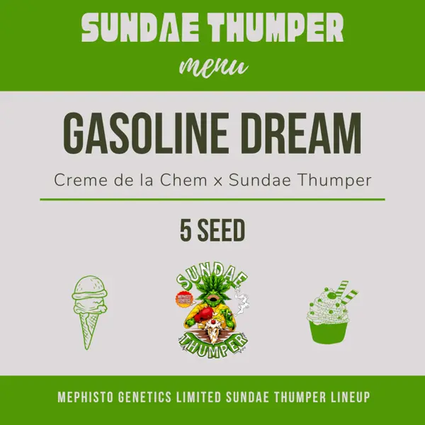Gasoline Dream Auto [LIMITED]