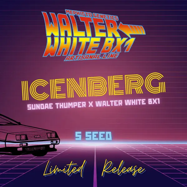 Icenberg Auto [LIMITED]
