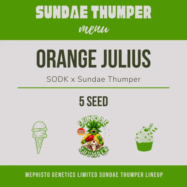 Orange Julius Auto [LIMITED]