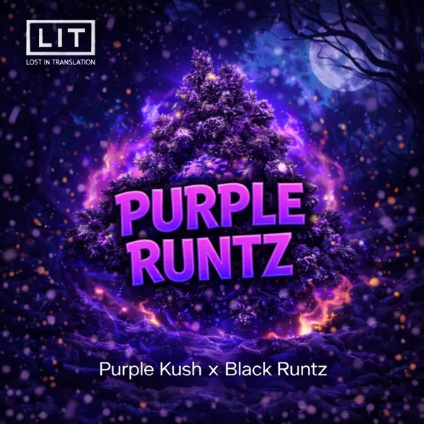 Purple Runtz (F) [Black Christmas Shock Drop]