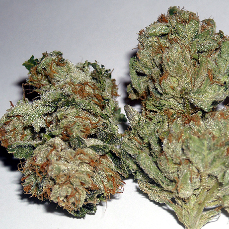 Rug Burn OG (F)