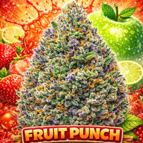 Fruit Punch (R)
